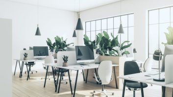 Eco style sunlit open space office with big flowerpots with green plants in the form of partition between cozy work places with modern computers, wooden floor and light walls background. 3D rendering